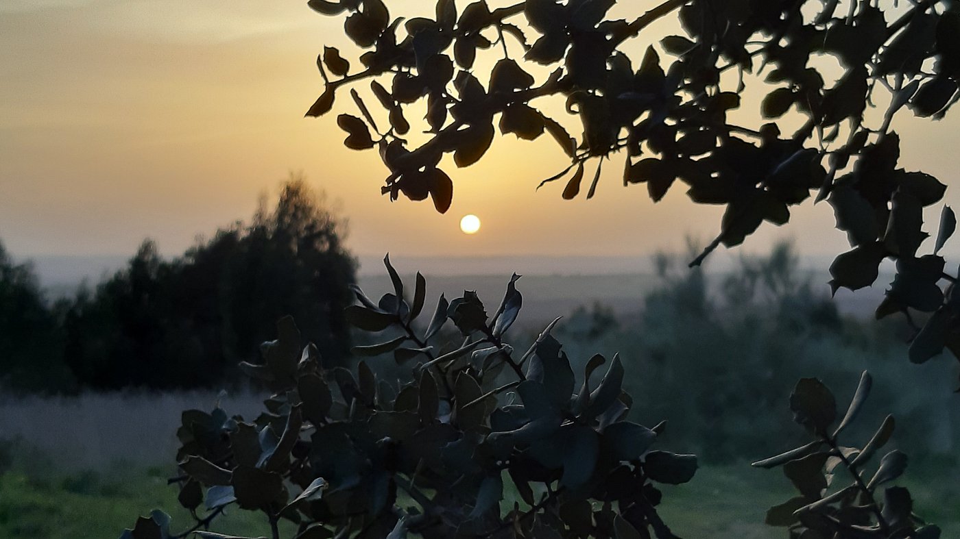 Natureza
